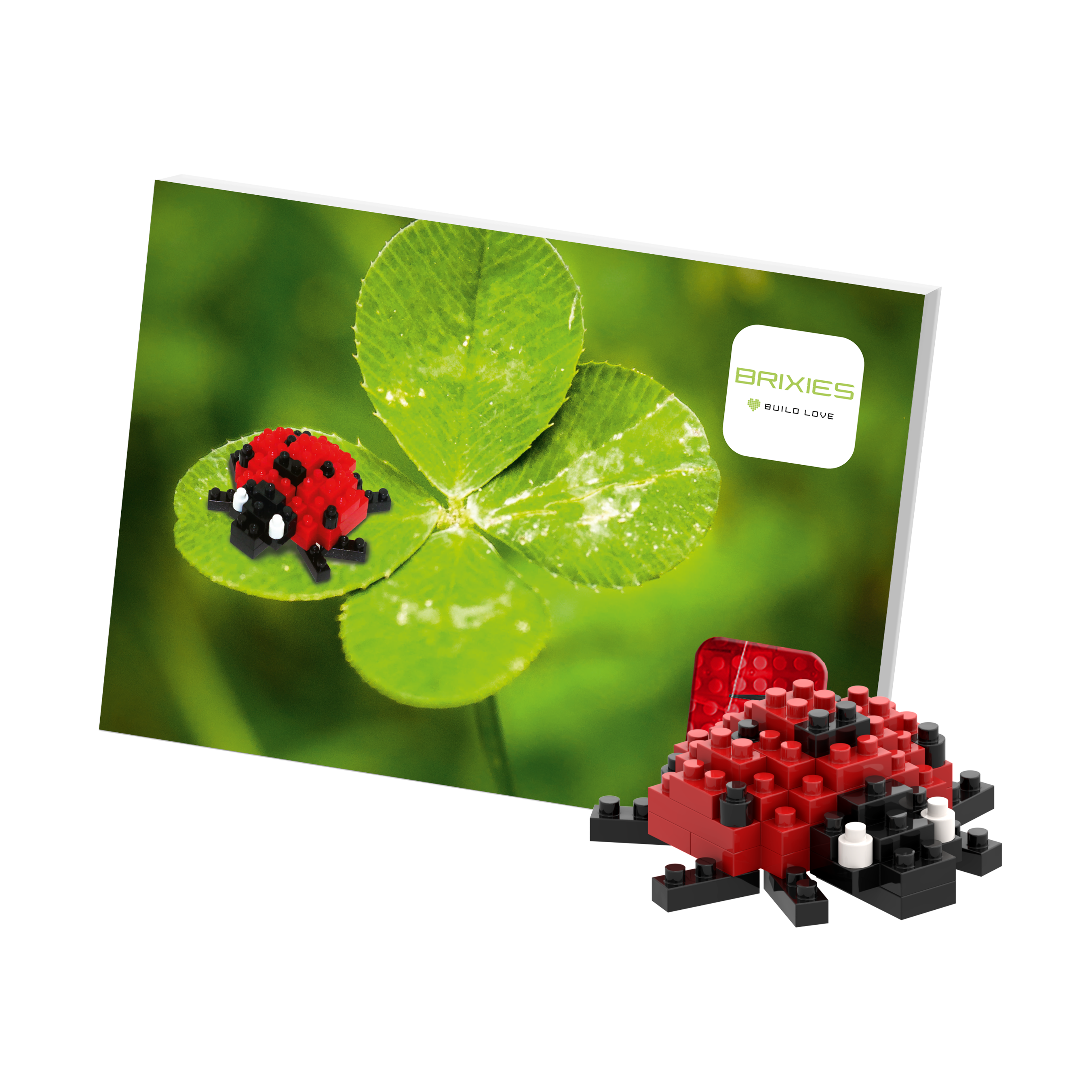 BRIXIES Postkarte Marienkäfer