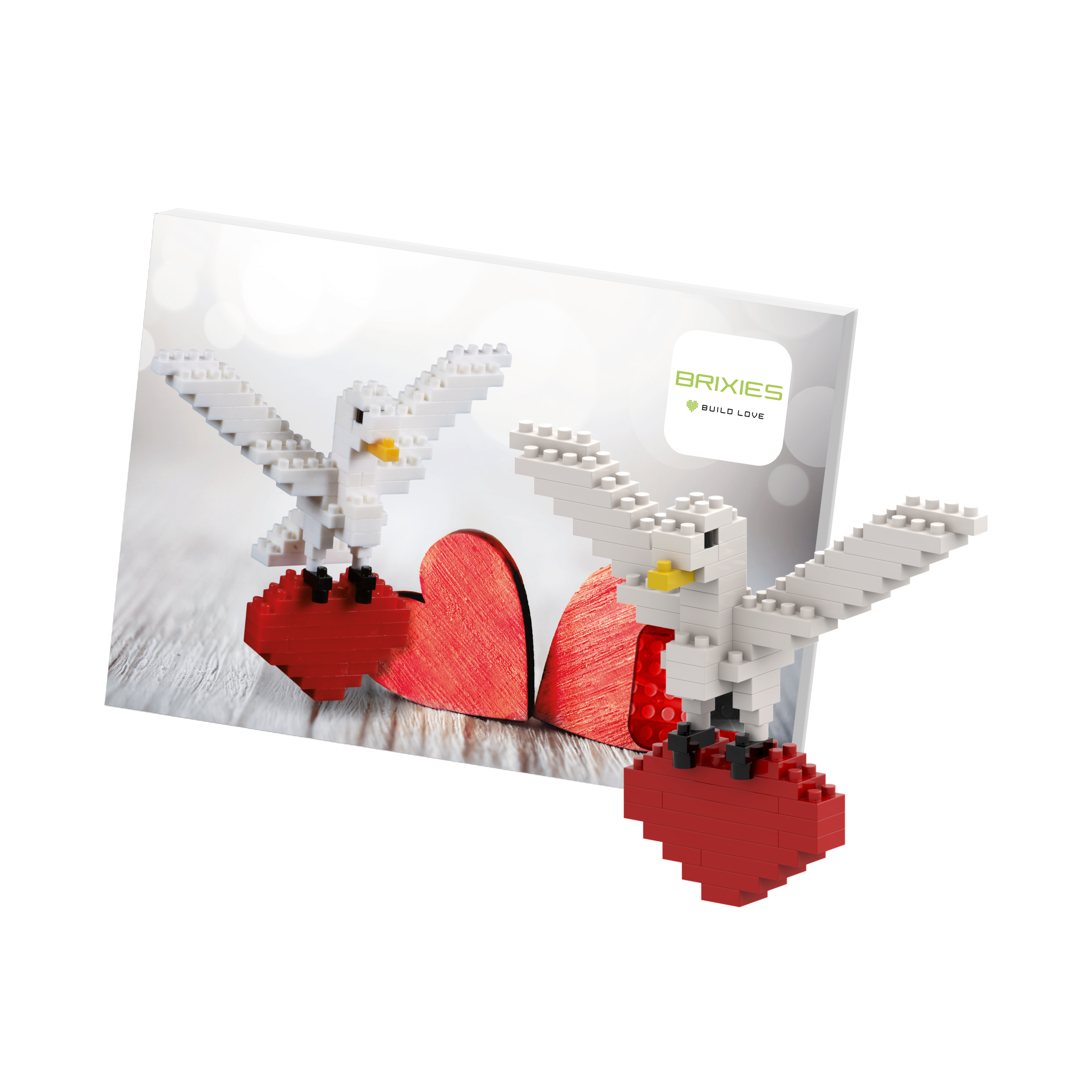 BRIXIES Postkarte Turteltaube