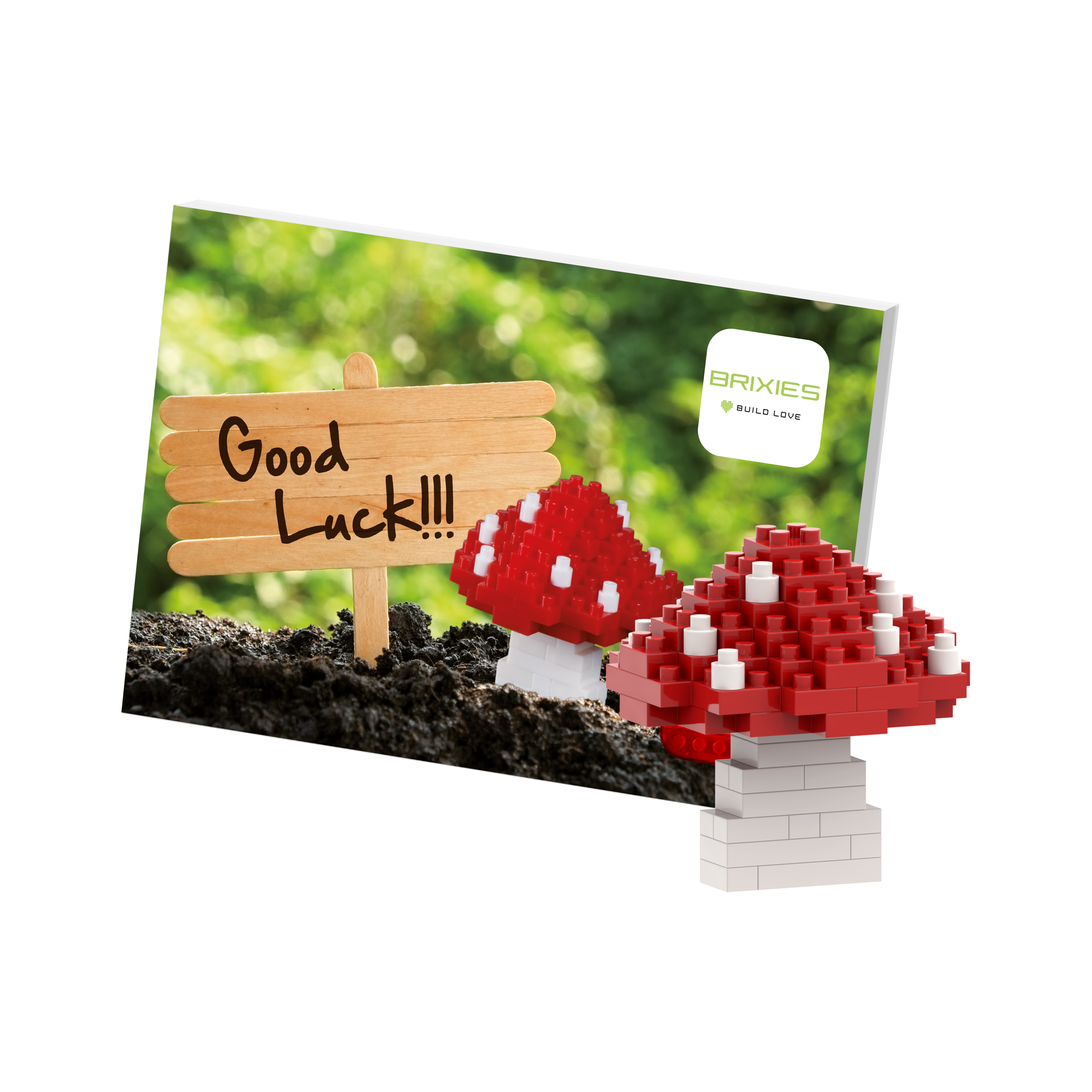 BRIXIES Postkarte Glückspilz